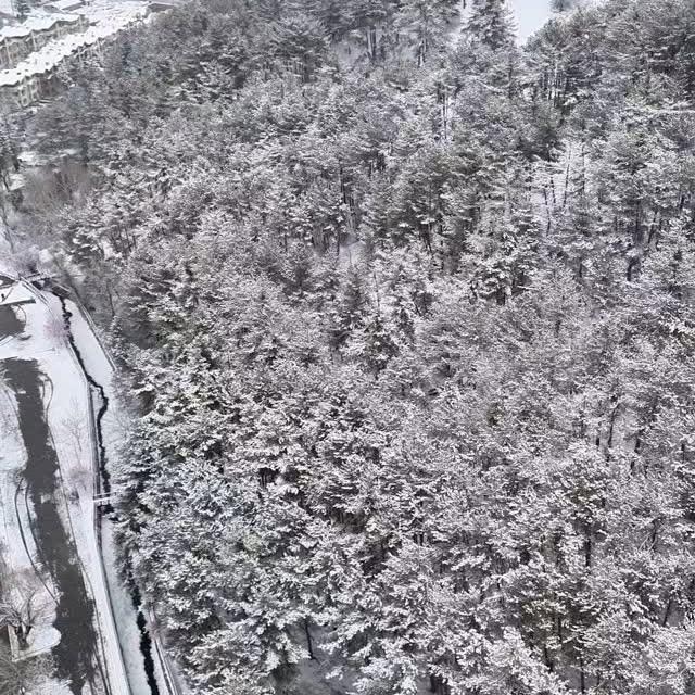 Kızılcahamam'da Bahar Annesi Karla Kaplandı