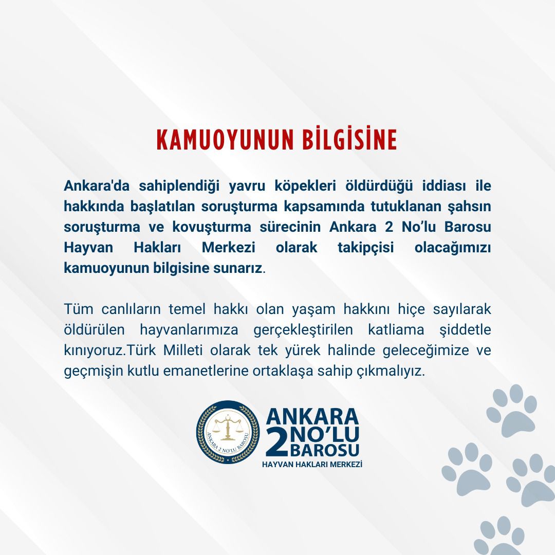 Ankara Barosu, Köpek Ölümü İddiasıyla Tutuklanan Şahısla İlgili Soruşturmayı Takip Edecek