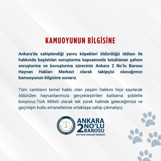 Ankara Barosu Hayvan Hakları Merkezi, Yavru Köpeklerin Ölümüyle İlgili Soruşturmayı Takip Edecek