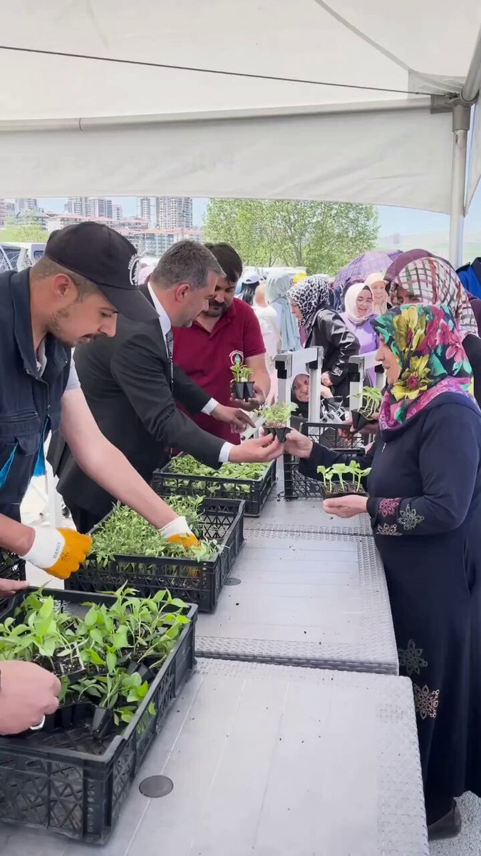Pursaklar Belediyesi Geleneksel Sebze Fidesi Dağıtım Etkinliği Gerçekleştirildi