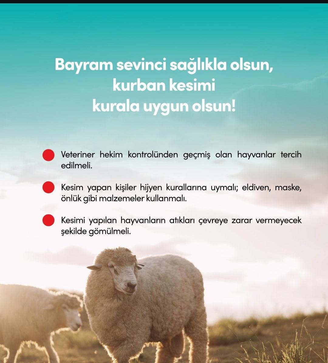 Sincan'da Kurban Bayramı Hijyen Tedbirleri Alındı