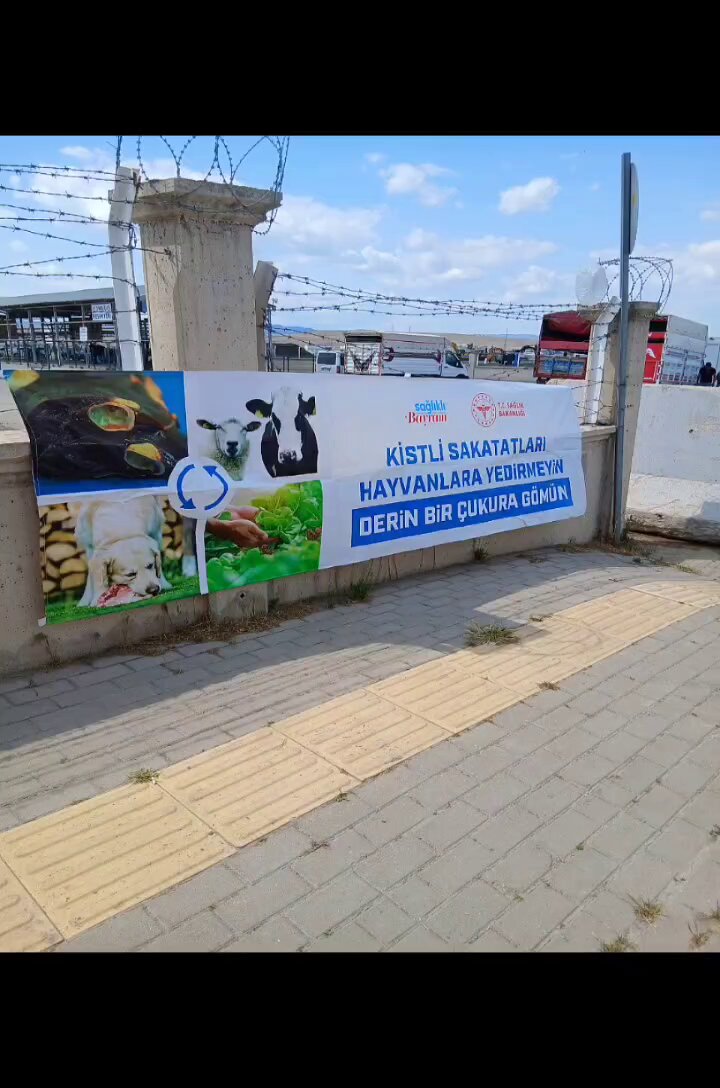 Sincan İlçe Sağlık Müdürlüğü Kist Hidatik Hastalığına Karşı Bilgilendirme Çalışması Başlattı